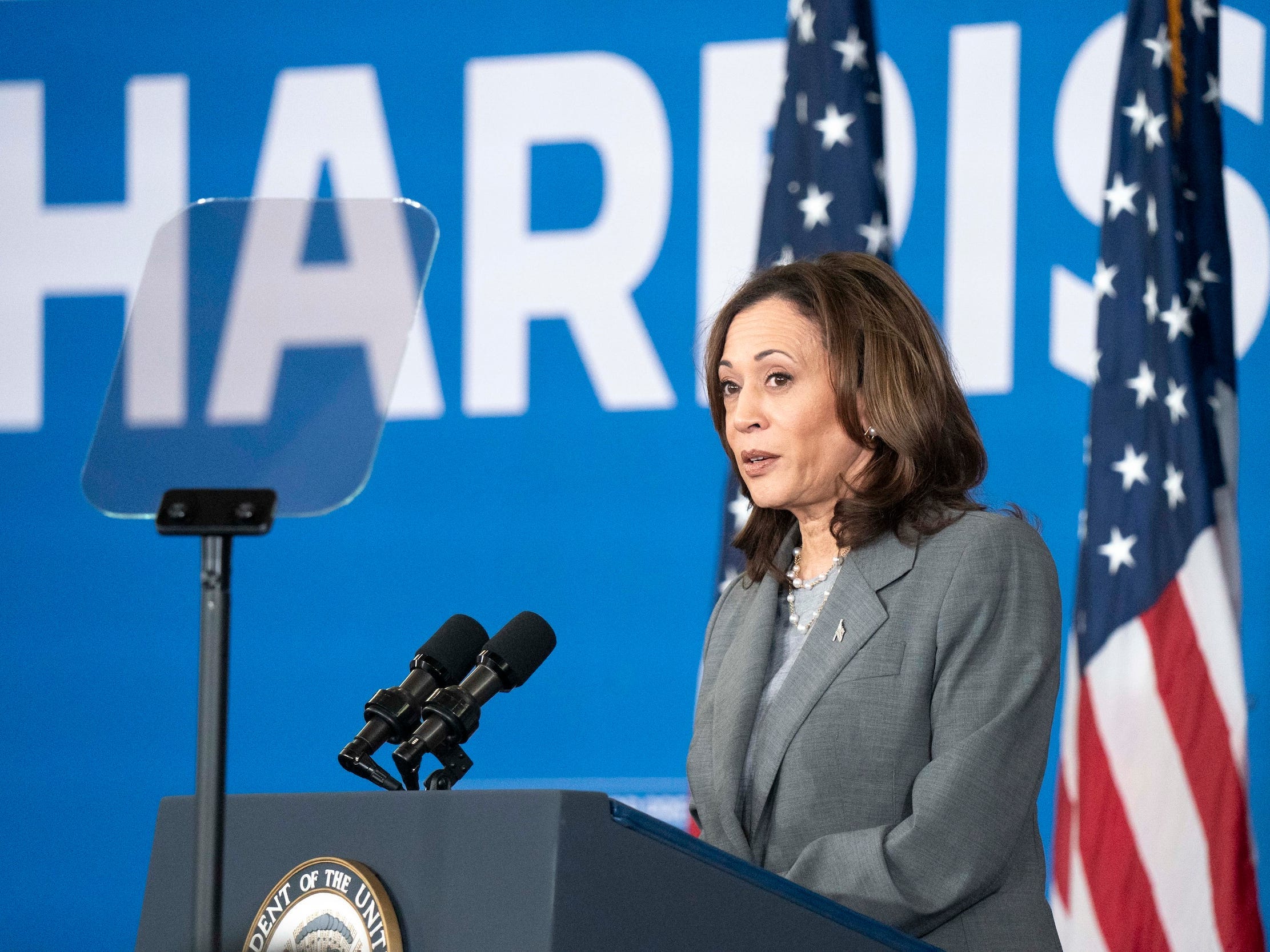 kamala-harris-is-locking-down-support-any-democrat-who-wants-to-rip-the-nomination-from-her-faces-a-steep-climb.