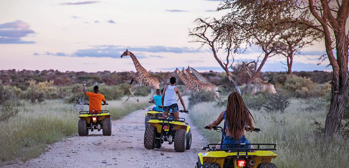 conquering-the-roof-of-africa:-the-only-guide-to-mount-kilimanjaro-and-the-best-of-the-african-wildlife-safaris